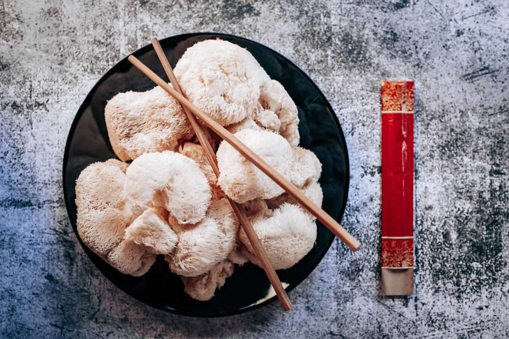 lions mane mushroom supplement